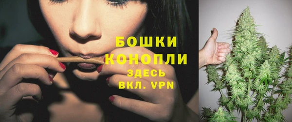 кокс Богородицк