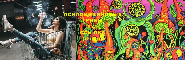 кокс Богородицк