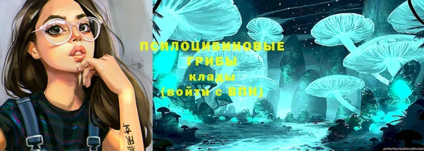 синтетический гашиш Богданович