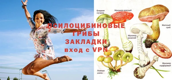 синтетический гашиш Богданович