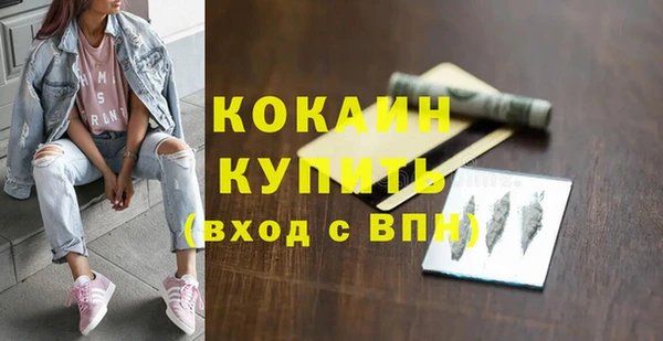 кокс Богородицк