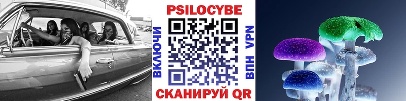 где купить   Пионерский  кракен зеркало  Псилоцибиновые грибы мухоморы 