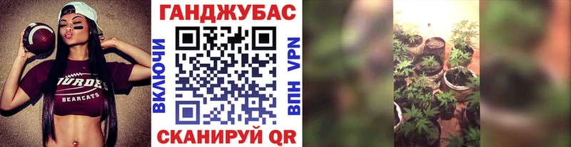 купить Пионерский Каннабис OG Kush